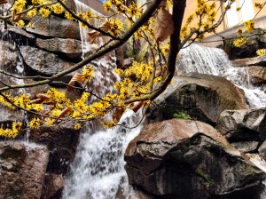 waterfall_garden_park